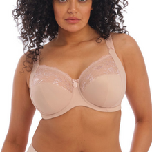 Load image into Gallery viewer,  Elomi Morgan Full Cup beige with beige lace detail 
